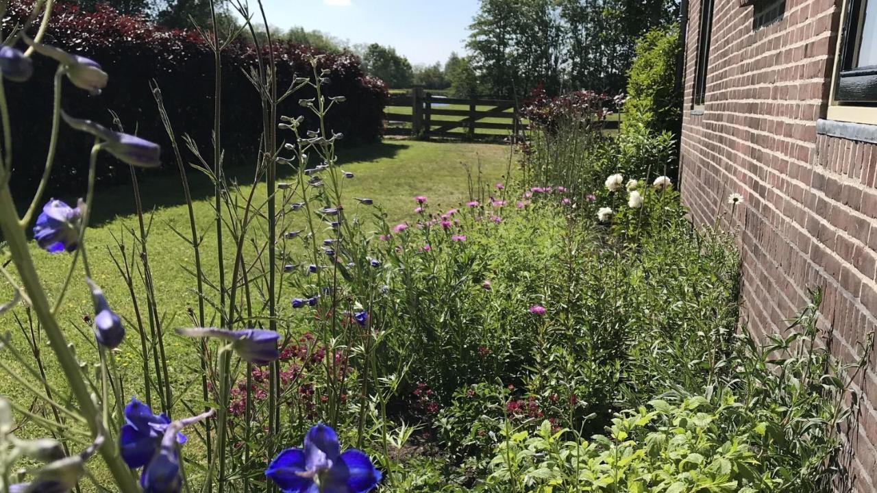 Pax Tibi Bed & Breakfast Reeuwijk